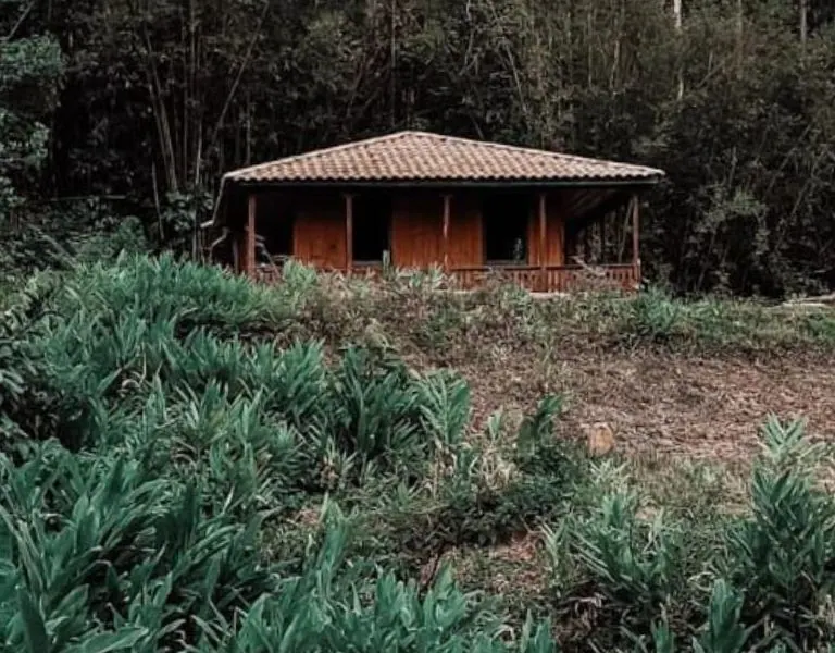 Casa Dona Madeira: casa antiga de madeira com telhado de telhas e varanda, na clareira ao pé da mata