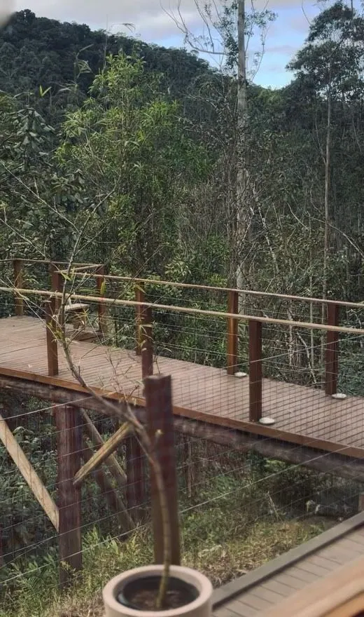 Deck de madeira suspenso entre as árvores da mata, com o morro ao fundo