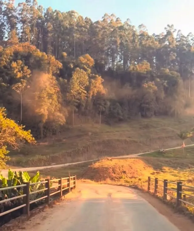 Estrada de chão com cerca de madeira entre morros de eucaliptos, na luz dourada do fim de tarde